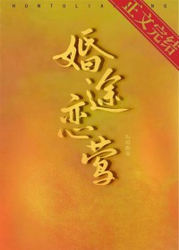 婚途恋莺作者:咬酥梨